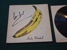 Andy Warhol's Velvet Underground (Lou Reed autograph)