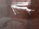 BILL EVANS JIM HALL Undercurrent LP Record Jazz (UAJ-14003) Gatefold RARE SEALED