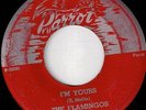 Flamingos I'm Yours Parrot Original Listen