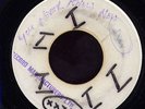 New Establishment - Rock Fort Rock JA BLANK 7