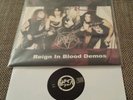 LP Slayer - Reign in Blood Demos Vinyl TOP