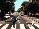 Paul McCartney Paul is Live Deleted UK Parlophone 2LP vinyl MINT TheBeatles RARE