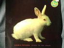 COSMIC PSYCHOS-SLAVE TO THE CRAVE,LIVE, RARE,PUNK