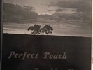 Perfect Touch - Touching You LP Vinyl RARE PRIVATE MODERN DETROIT SOUL PT-202