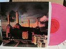 PINK FLOYD 