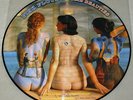 PINK FLOYD  RARE BEAUTIES  PICTURE DISC LP  SEXY ROCK NUDE CHEESECAKE Limited Ed