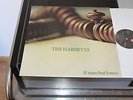 The HABIBIYYA - If Man But Knew 1972 UK Orig Prog Psych Island HELP 7-1U