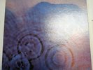 Prog Psych PINK FLOYD Meddle LP AWESOME Mint-  gatefold orig Harvest SMAS-832