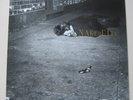 ? JOHN ZORN - NAKED CITY...ELEKTRA NONESUCH 1990 MINT-