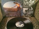 Flaming Lips - Telepathic Surgery LP ORIG NM