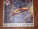 Stone Roses What The World Is Waiting For Fools Gold 12 Inch Vinyl