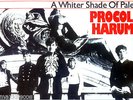 LP - Procol Harum - A Whiter Shade Of Pale (GERMANY EDIT. 1986) NEAR MINT LISTEN