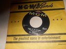 The Standells-Zebra In The Kitchen/Someday You'll Cry-45 RPM Record-Rare 1960's