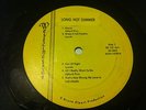 Long Hot Summer AKA Friday At The Cage A Go-Go RARE MI GARAGE GRAIL TED NUGENT