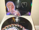 Tool - Lateralus - SIGNED Picture Disc Vinyl Record 2LP /300 Rare