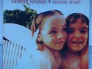 SMASHING PUMPKINS Siamese Dream Double LP Album Mint Vinyl Gatefold Sleeve Hut