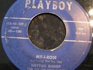 HEAR 1956 Country Hicks style Rockabilly Bop DAYTON BISHOP My-I-Rose PLAYBOY 45