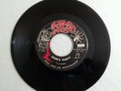 Tony and the Monstrosities Rare 45 Igor's Party/Igor's Lament Crypt 107 Garage
