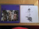 The Slits Cut Debut LP  1979 Punk/Post Punk