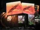 Led Zeppelin 6 LP Record Box Set w/Photo Book Atlantic Vinyl Set RARE Photos 