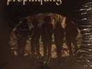 Propinquity Lp Rare Psych Folk Private Colorado SHRINK Orig With Insert Owl
