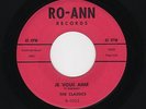 '59 W Coast Doowops CLASSICS Je Vous Aime/Burning Desire RO-ANN 1002 M- HEAR NOW