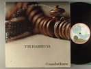 Habibiyya, The  If Man But Knew    Ex Mighty Baby  Sufi Folk Rock