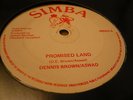 Dennis Brown Aswad Promised Land Rare Killer Roots 12