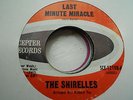 NORTHERN SOUL THE SHIRELLES LAST MINUT MIRACLE SCEPTER
