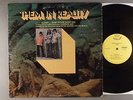 Them  In Reality    Rare LP  Fuzz Psych   Happy Tiger Label