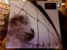 Pearl Jam Vs. LP sealed 180 gm vinyl remastered Versus
