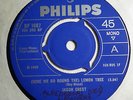 JASON CREST here we go round the lemon tree 7” 45 Philips 1968 UK Acid Psych NM