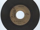 Hound Dog Taylor Christine 45 rpm 7