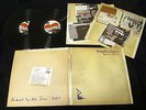 free shipping BABYSHAMBLES Down In Albion 2005 UK Orig 2LP Vinyl The Libertines