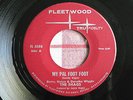 THE SHAGGS My Pal Foot Foot 1968 ORIGINAL Fleetwood 45 garage