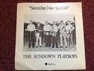 SATURDAY NIGHT SPECIAL THE SUNDOWN PLAYBOYS APPLE DEMO WITH PICTURE SLEEVE 45RPM