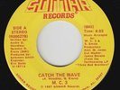 Rap Electro 45 - M.C. 3 - Catch The Wave - Somar - mp3