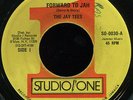 Jay Tees - Forward To Jah JA orig 7