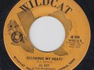 AL EPP Breaking My Heart on Wildcat 45 TEXAS ROCKABILLY HEAR