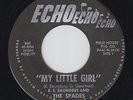 E.S. SAUNDERS AND THE SPADES 