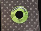 Razzy Aquarian 601 I Hate Hate and Singing Other Peoples Songs