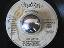 ALTHEA FOREST rare island disco funk Hey Mister 45 LISTEN