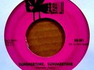 OUR GANG (DEAN TORRENCE OF JAN & DEAN) - SUMMERTIME, SUMMERTIME - BRER BIRD 45