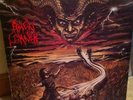 AMEN CORNER  Fall Ascension Domination 1993 LP Cogumelo Brazilian Black Death