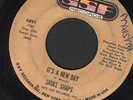 NORTHERN SOUL FUNK 45 SKULL SNAPS IT'S A NEW DAY MY HANG UP IS YOU GSF LISTEN