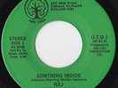 RAJ - SOMETHING INSIDE - OAK TREE    rare modern soul