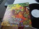 CULPEPERS ORCHARD SAME LP DANISH PROG. MONSTER