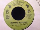 UK DUB,IRATION STEPPAS, JUNGLE JUNGLE, Tandori Space Uk 7 SHAKA KILLA