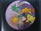 Charisma Beasts and Fiends LP SR-42054 Roulette 1970 psych vinyl record album