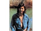 Tony Joe White - Homemade Ice Cream 200G LP REISSUE NEW ANALOGUE PRODUCTIONS